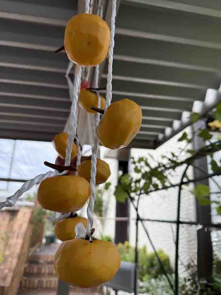 生まれて初めて作る干し柿 生まれて初めて作る干し柿